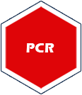 PCR